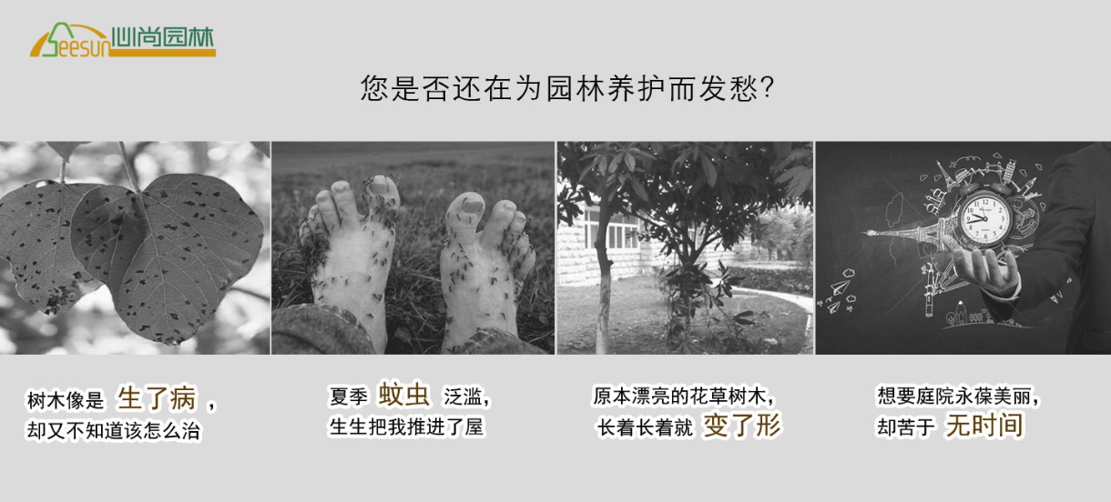 CA88(中国)唯一官方网站入口