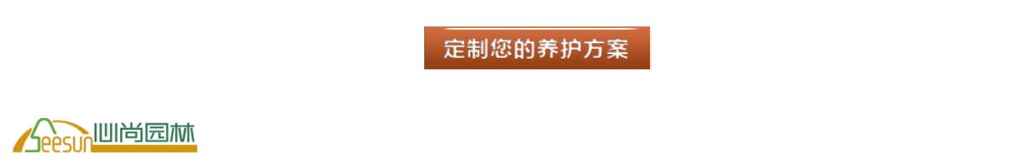 CA88(中国)唯一官方网站入口